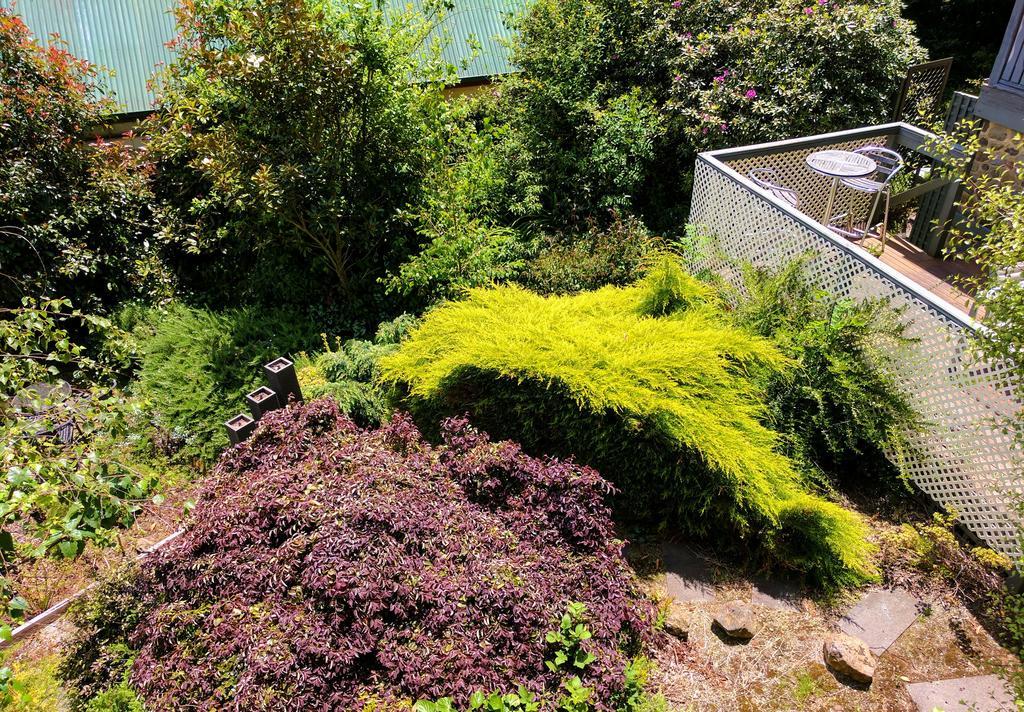 Annie Roes Luxury B&B Bend of Islands Buitenkant foto