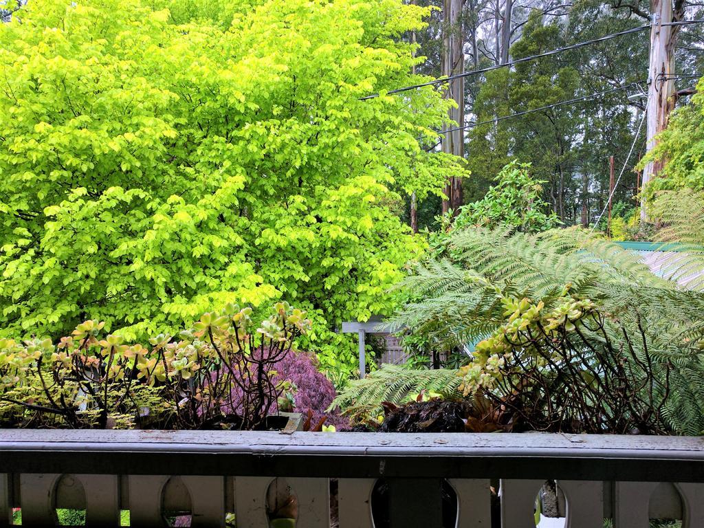 Annie Roes Luxury B&B Bend of Islands Buitenkant foto